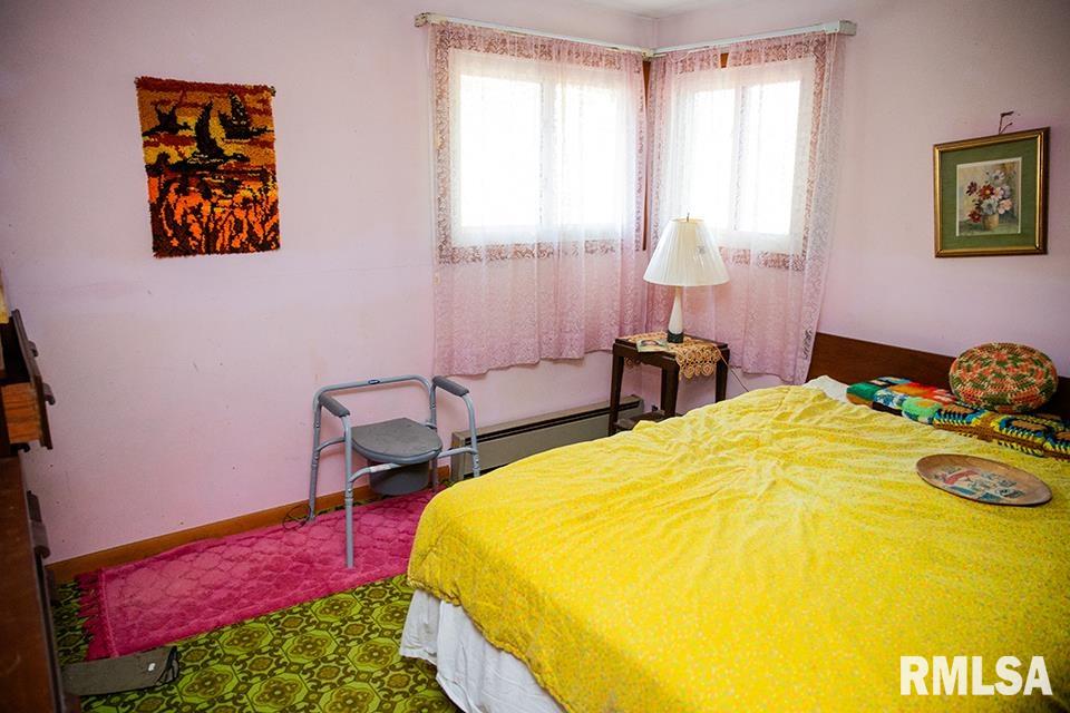 7319 Malone Road Alma, IL 62807 - Photo 4 of 11