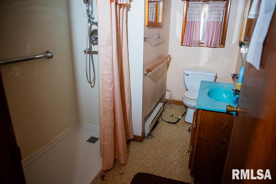 7319 Malone Road Alma, IL 62807 - Photo 6 of 11