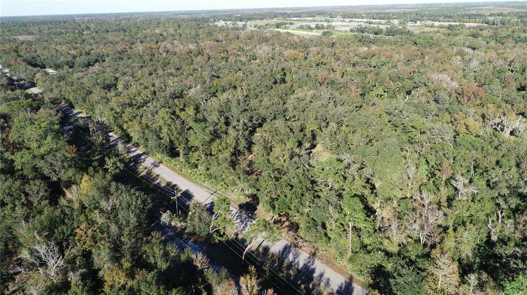 13 South County Road Orlando, FL 32833 - Photo 11 of 12 an aerial view of forest