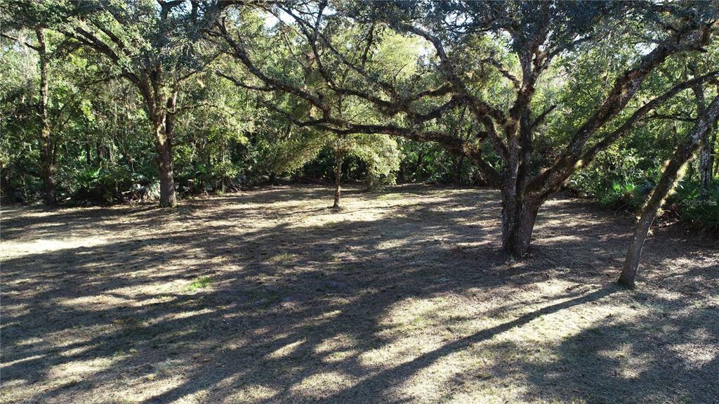 13 South County Road Orlando, FL 32833 - Photo 2 of 12 a view of a tree with a yard