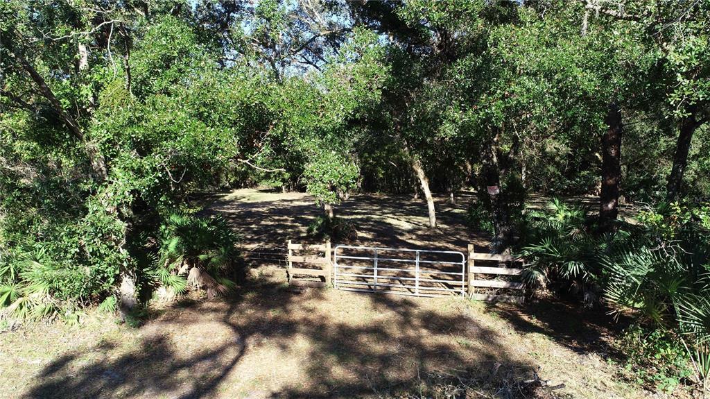 13 South County Road Orlando, FL 32833 - Photo 3 of 12 a view of outdoor space and yard