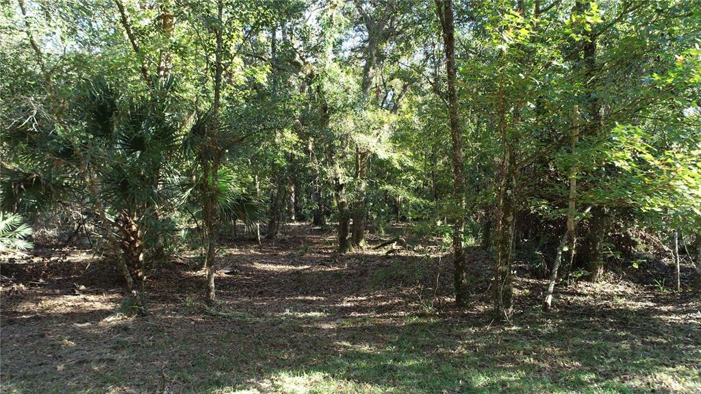 13 South County Road Orlando, FL 32833 - Photo 8 of 12