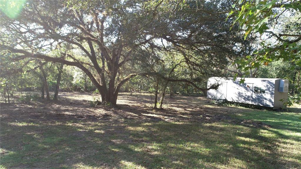 13 South County Road Orlando, FL 32833 - Photo 9 of 12 a backyard of a house with large trees
