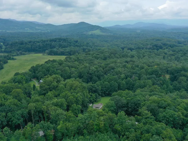 a view of a lush green hillside and a houses