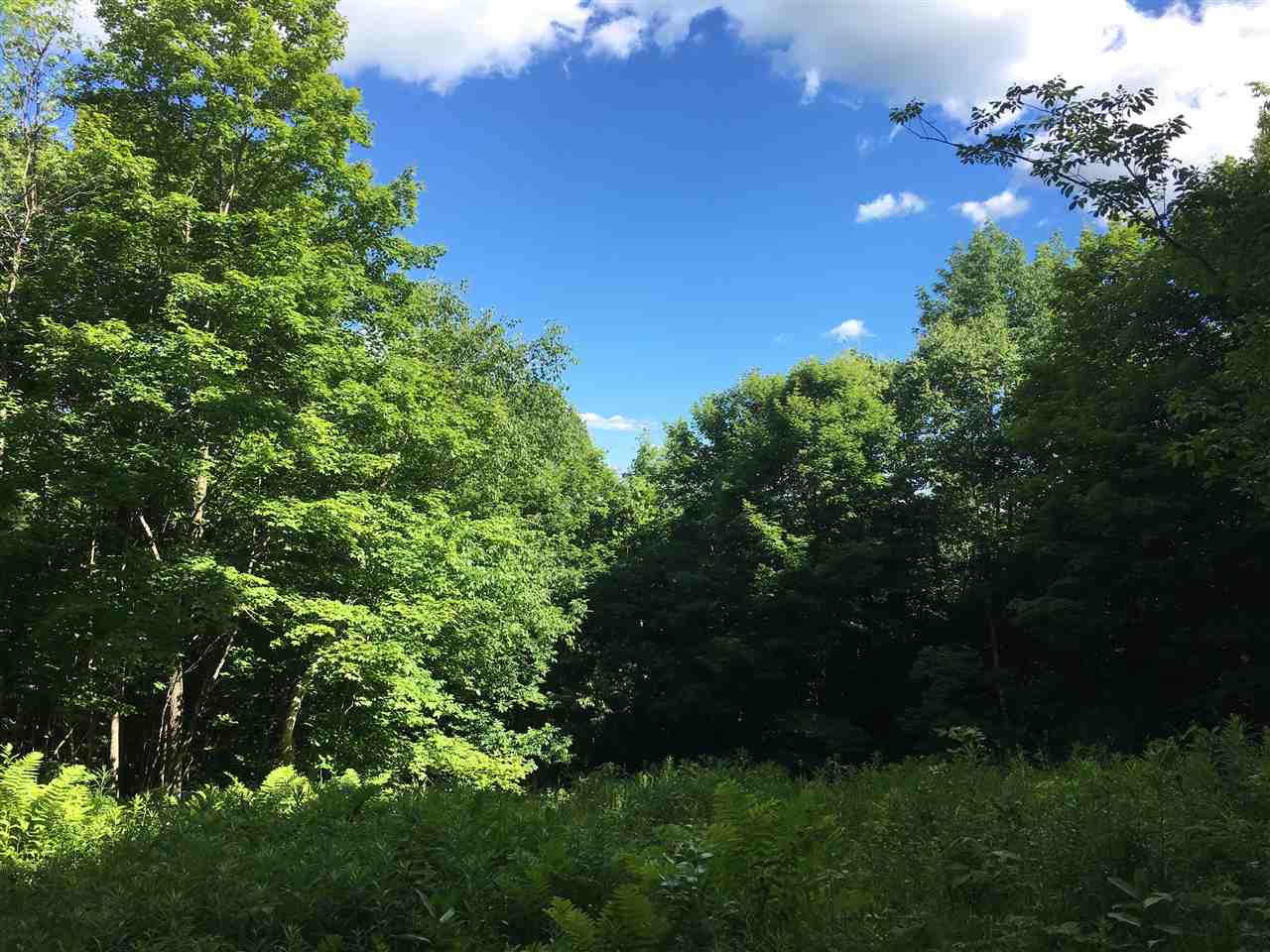 Tbd Tbd Maplewood Road West Topsham, VT 05086 - Photo 1 of 6