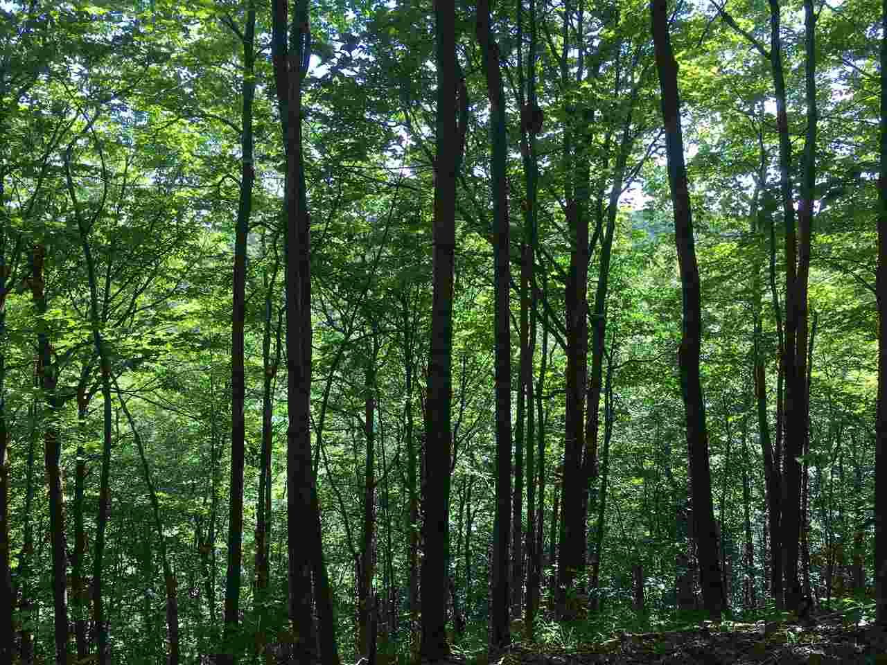 Tbd Tbd Maplewood Road West Topsham, VT 05086 - Photo 5 of 6