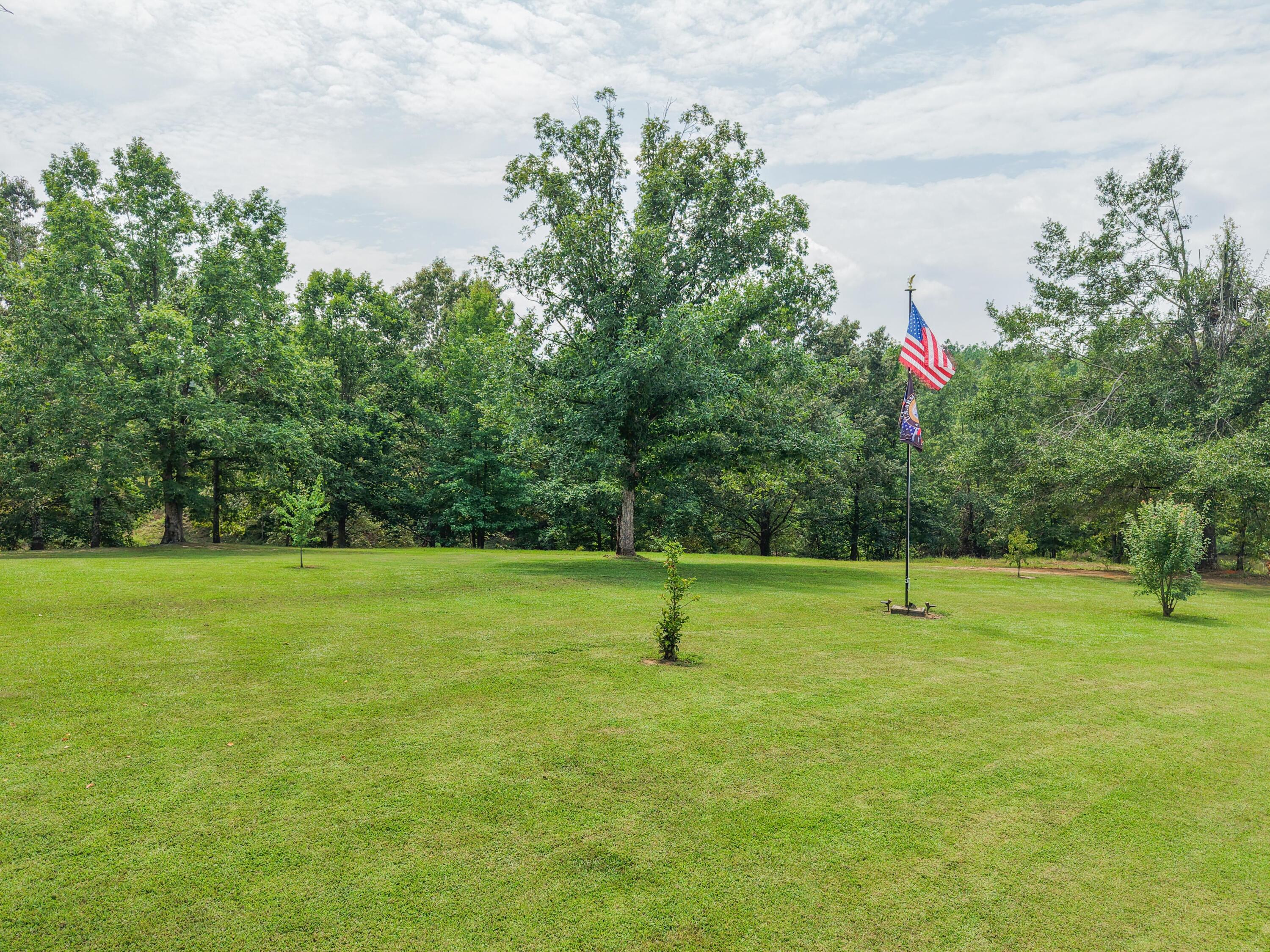 51 County Road 335 Rienzi, MS 38865 - Photo 39 of 52 Gallery Image 39