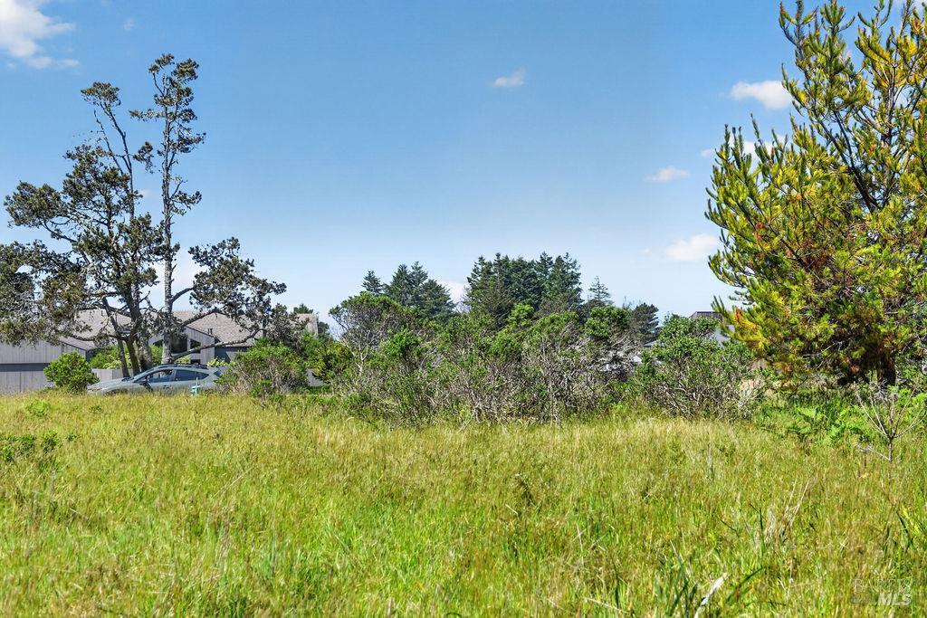 35604 Timber Ridge Road The Sea Ranch, CA 95497 - Photo 5 of 12