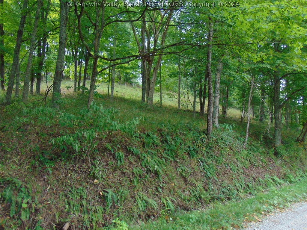 0 Logston Run Road Ravenswood, WV 26164 - Photo 6 of 8 Gallery Image 6