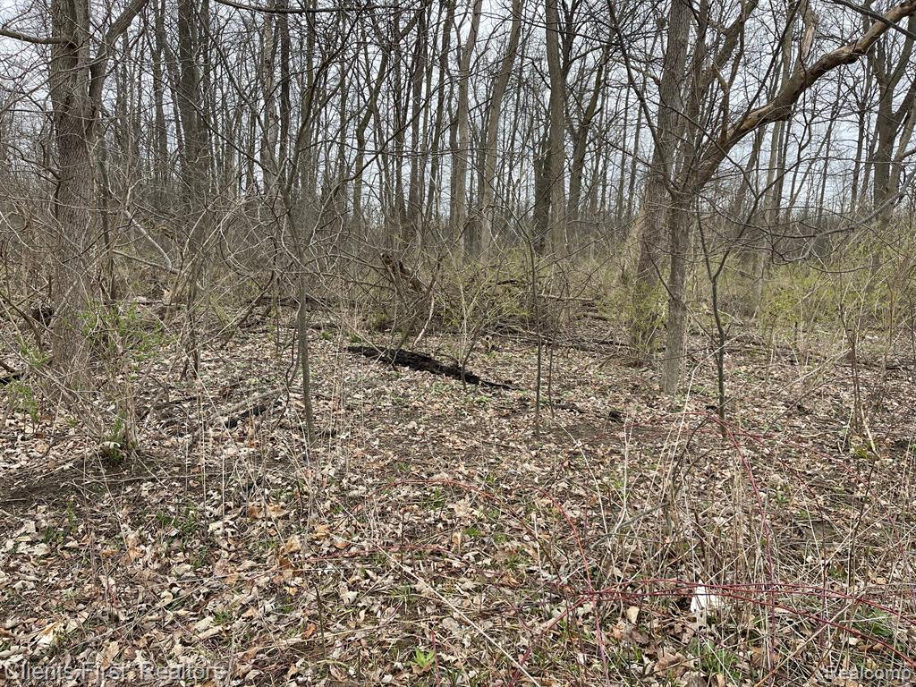 0 Ford Road Canton, MI 48187 - Photo 1 of 11