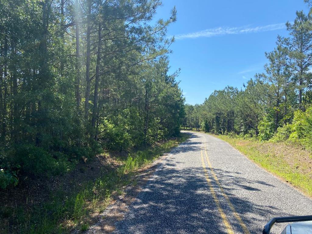 Tbd Calhoun Road Abbeville, AL 36310 - Photo 1 of 2