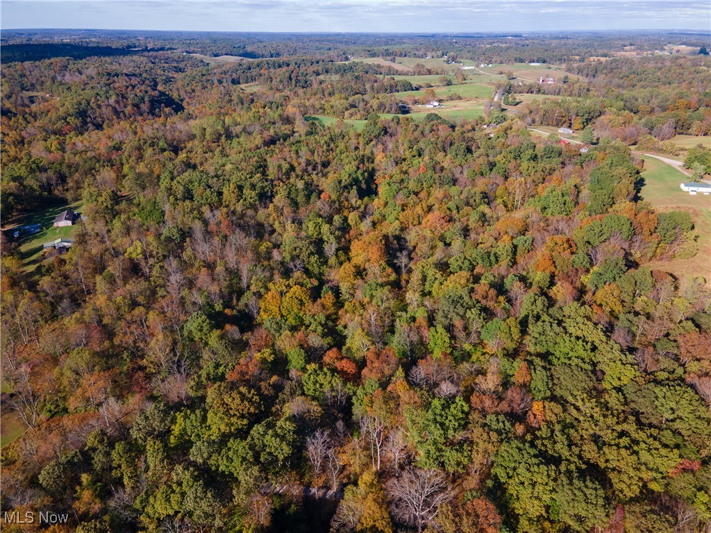 0 Clark Road Cutler, OH 45724 - Photo 25 of 26 Aerial overview of property's location featuring a forest