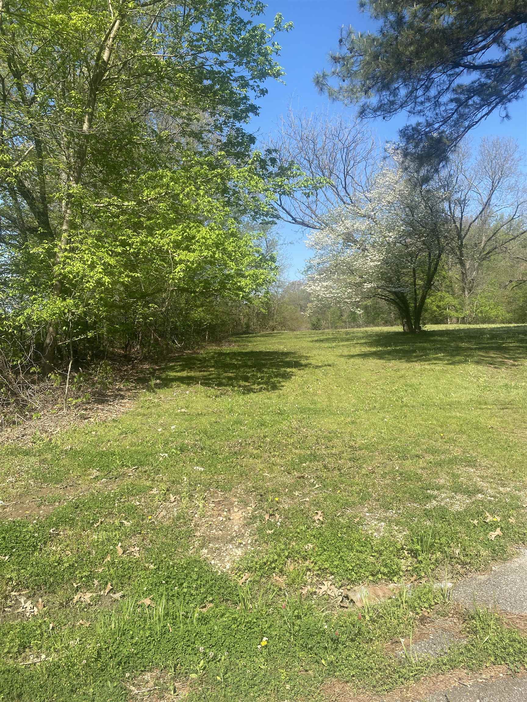 8285 Brunswick Road Millington, TN 38053 - Photo 2 of 8 a view of a lake view