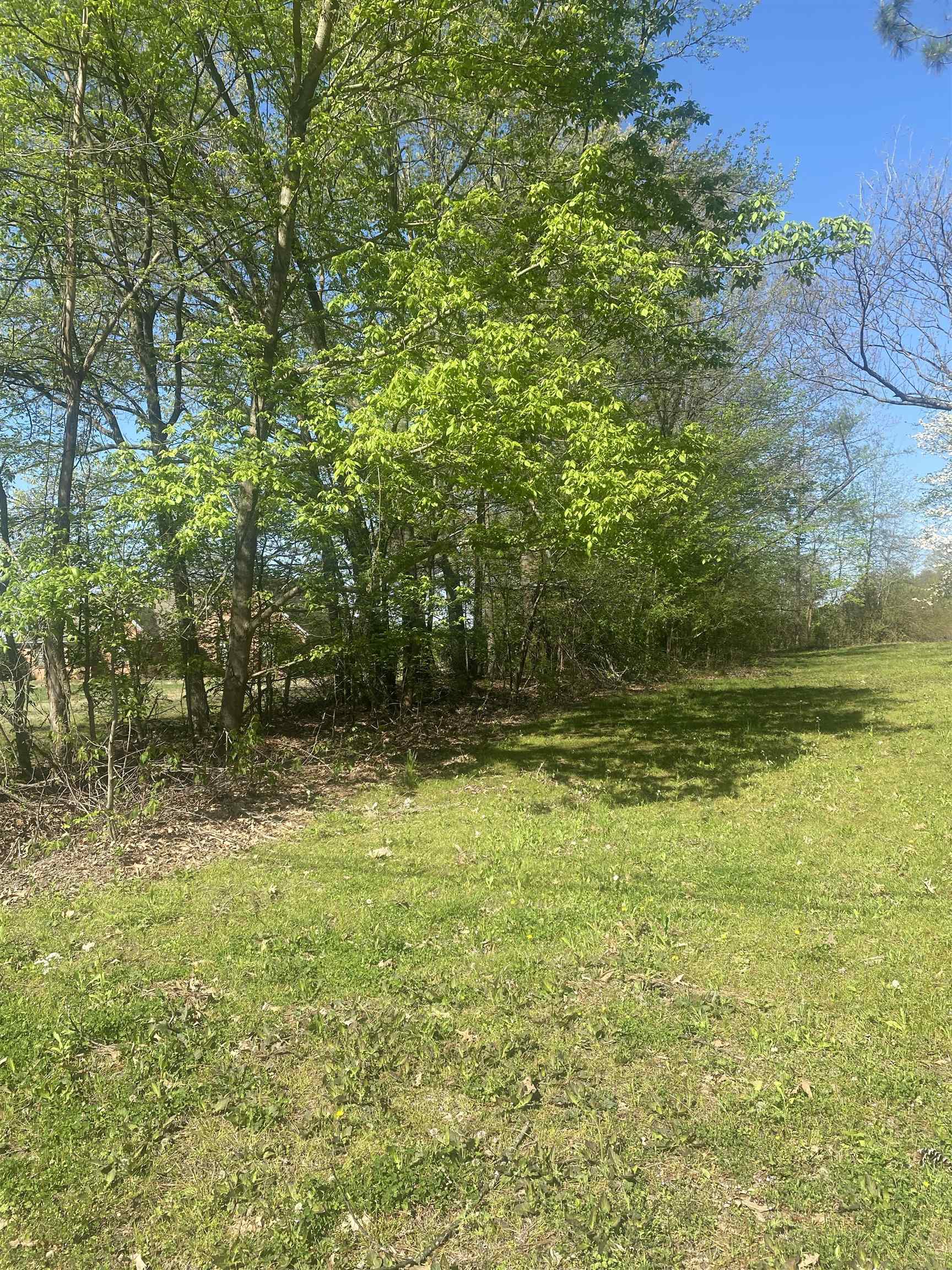 8285 Brunswick Road Millington, TN 38053 - Photo 3 of 8 a view of a yard
