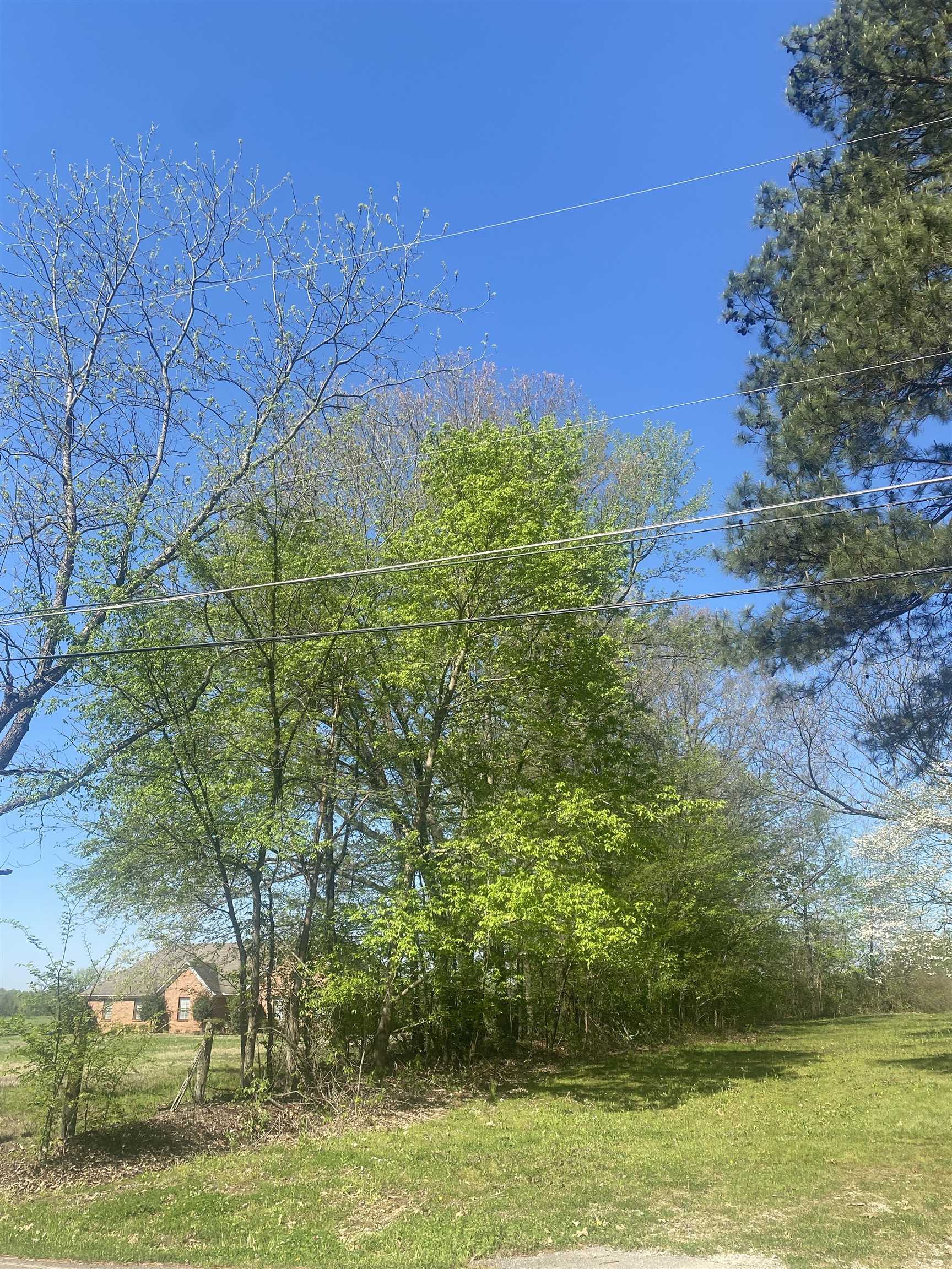 8285 Brunswick Road Millington, TN 38053 - Photo 4 of 8 a view of a yard