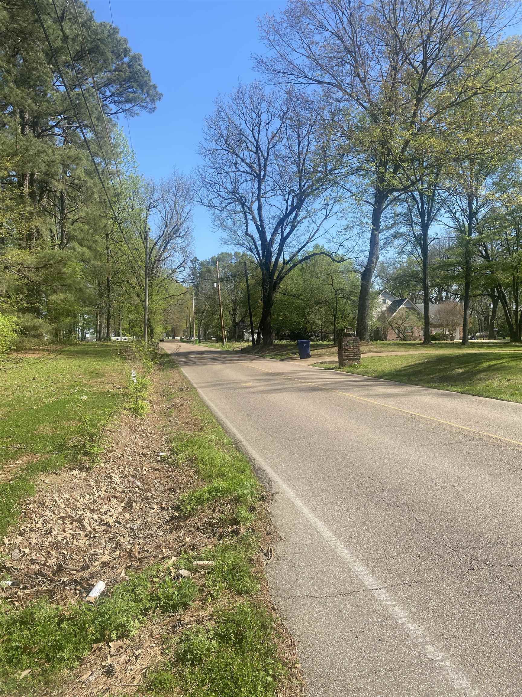 8285 Brunswick Road Millington, TN 38053 - Photo 6 of 8 a street view with large trees