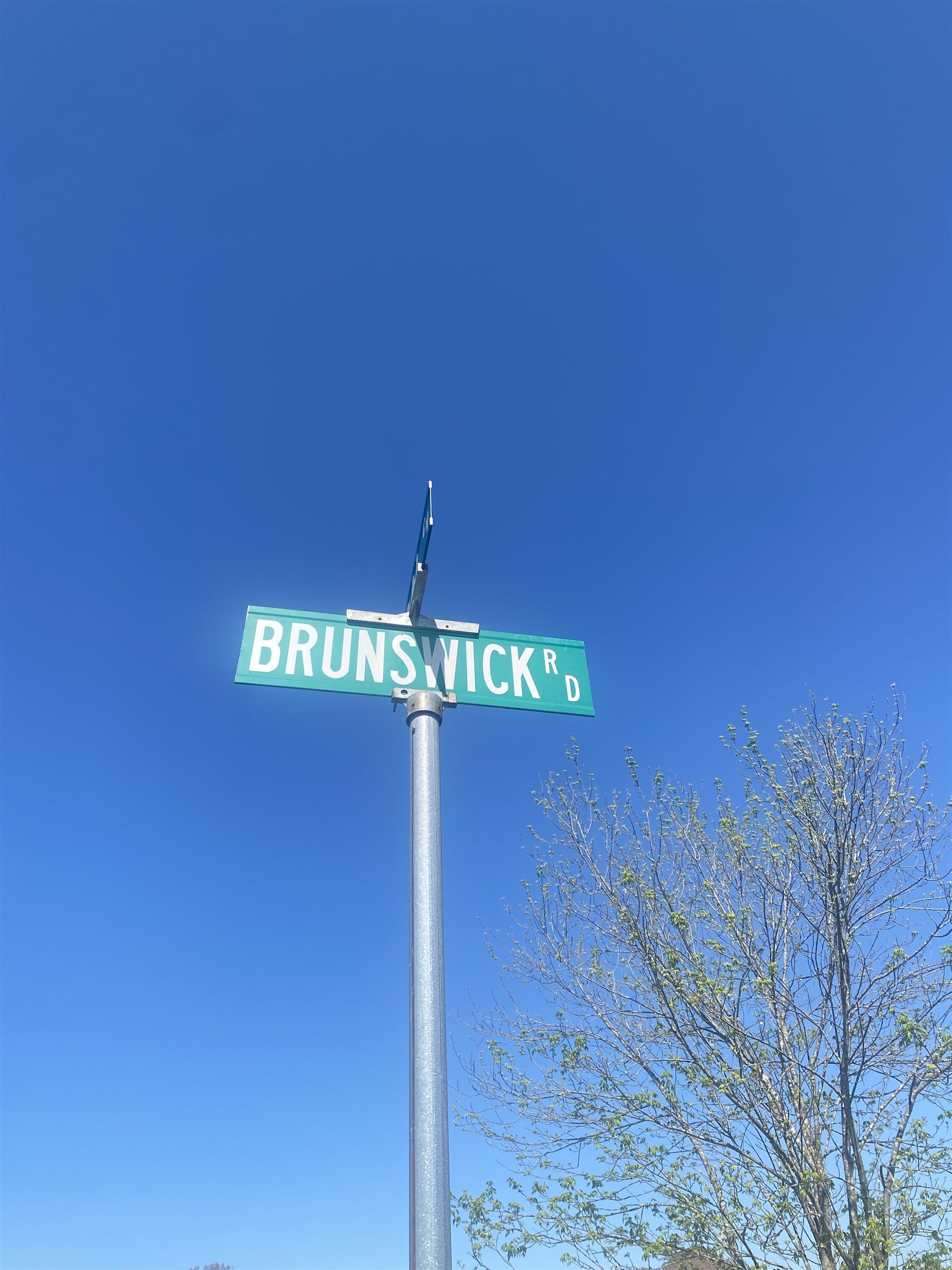 8285 Brunswick Road Millington, TN 38053 - Photo 8 of 8 a view of a room with a street and trees