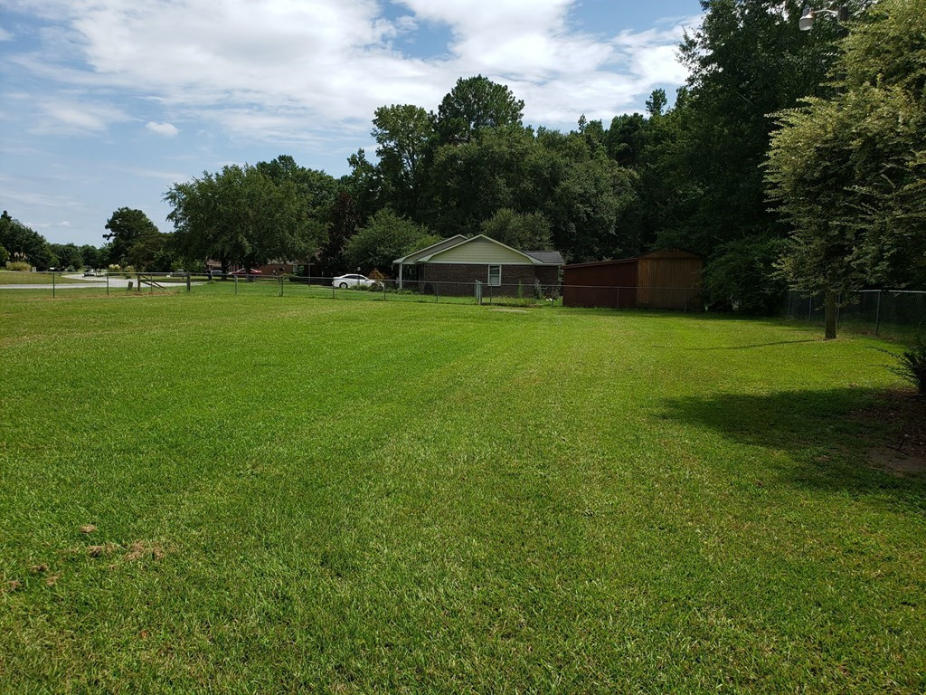5050 Queen Chapel Road Dalzell, SC 29040 - Photo 3 of 11