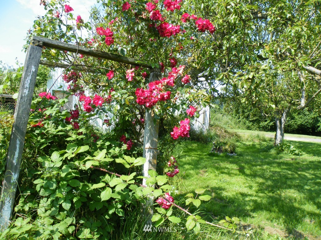 492 Fort Casey Road Coupeville, WA 98239 - Photo 15 of 15 Gallery Image 15