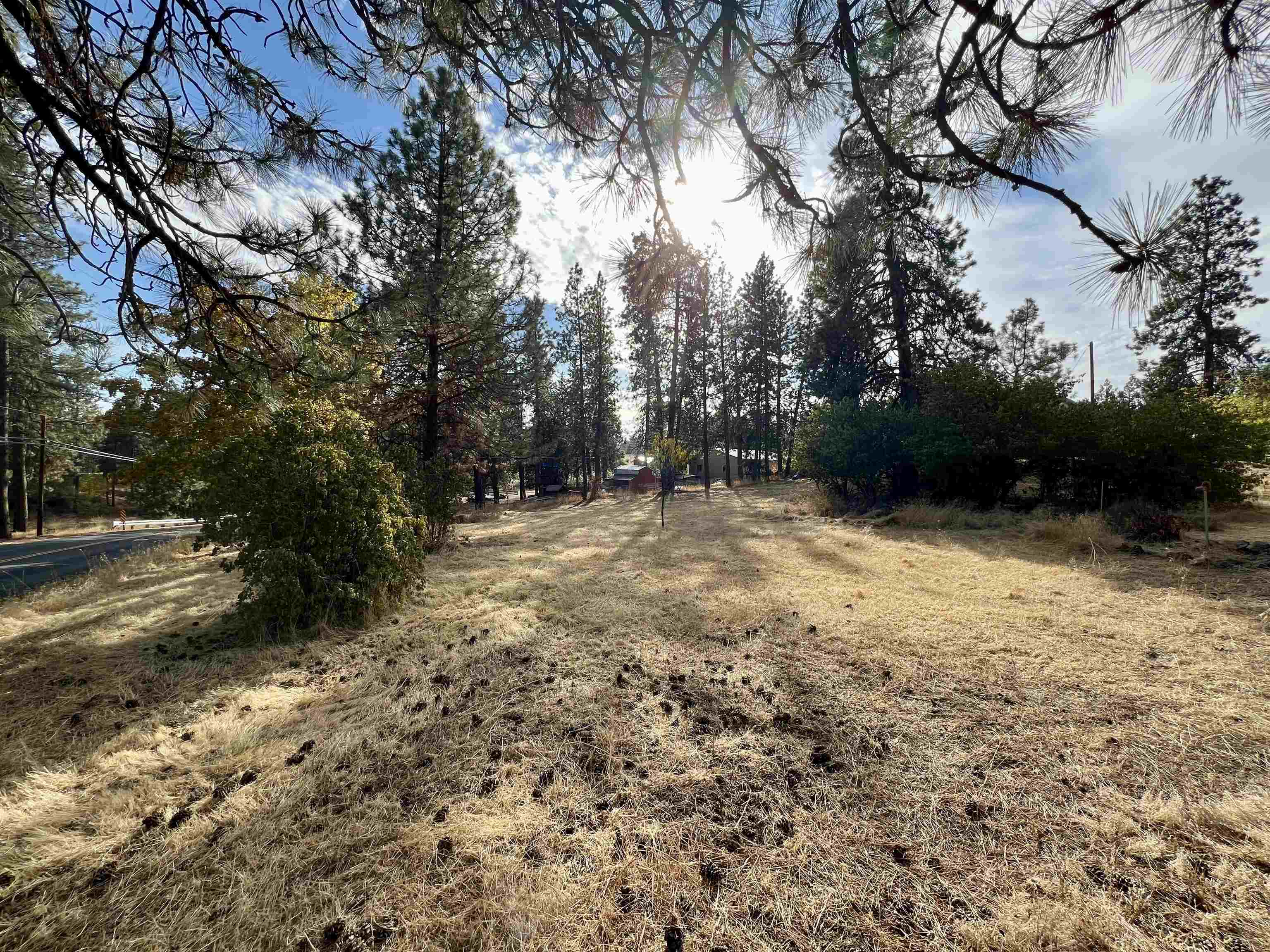 32-xx South Assembly Road Spokane, WA 99224 - Photo 11 of 25