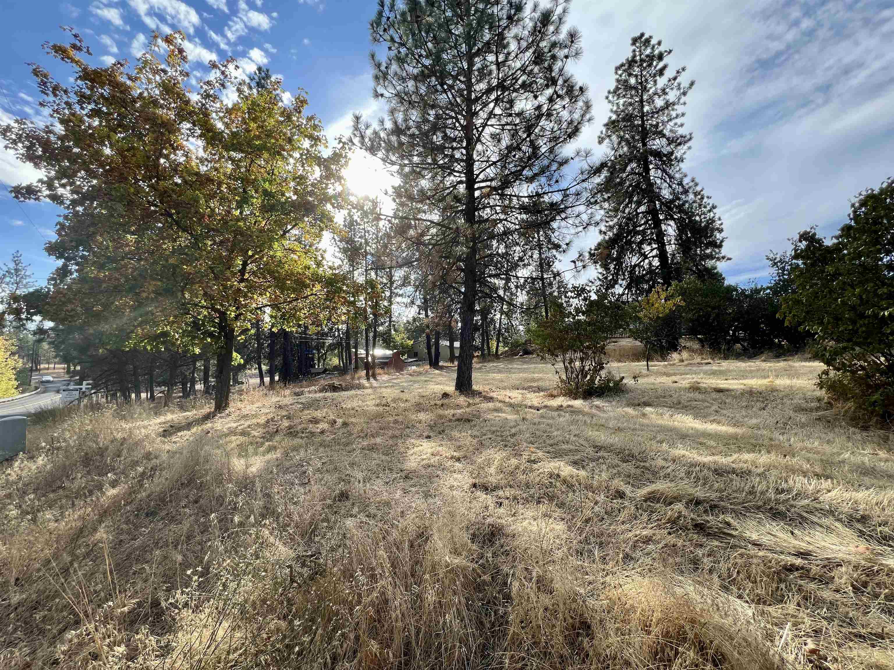 32-xx South Assembly Road Spokane, WA 99224 - Photo 12 of 25