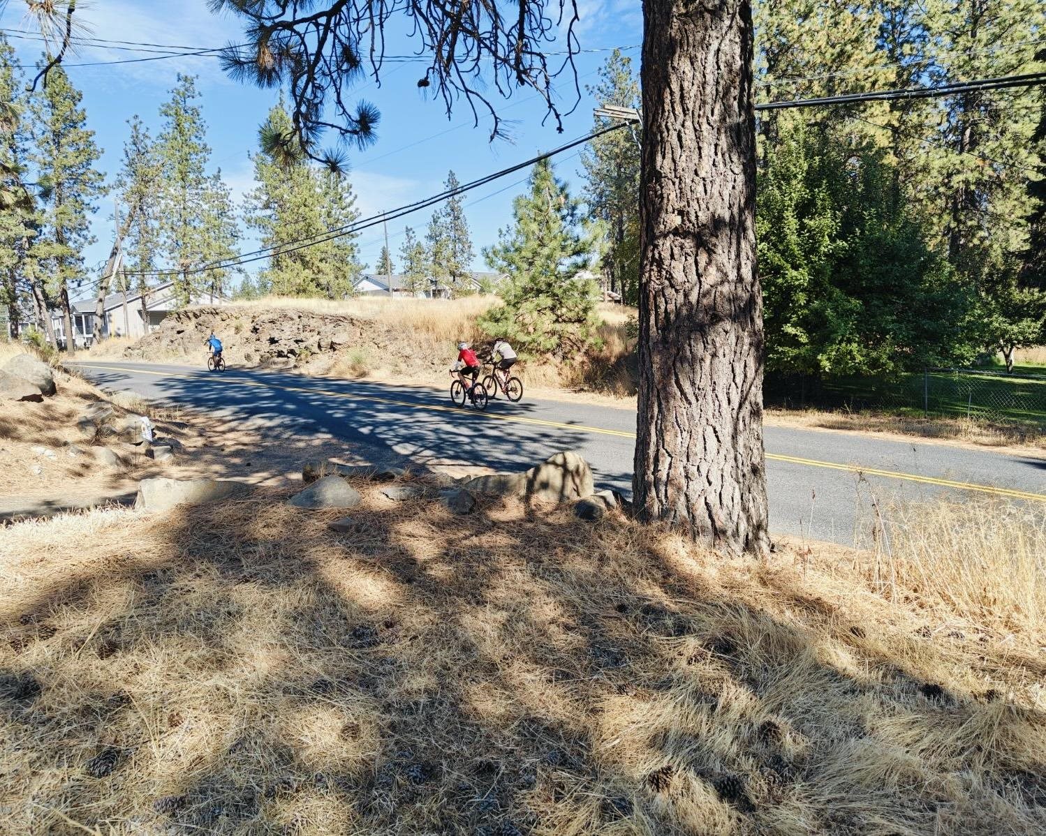 32-xx South Assembly Road Spokane, WA 99224 - Photo 13 of 25