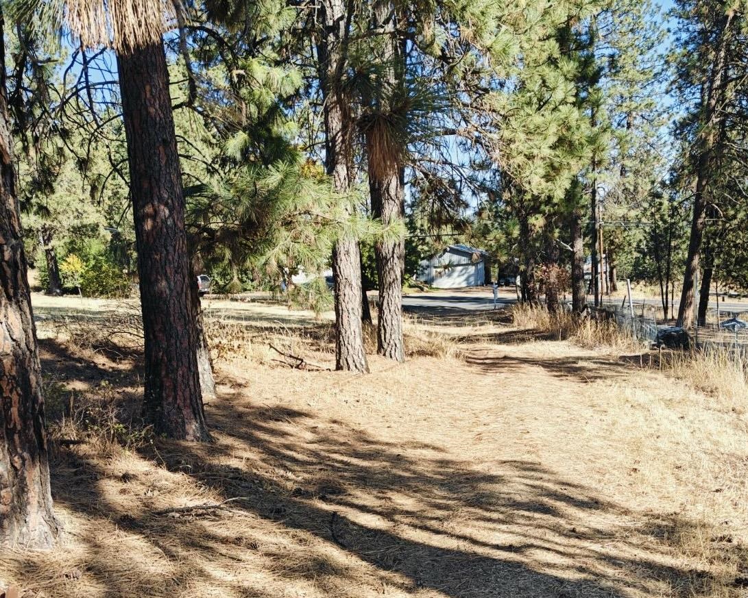 32-xx South Assembly Road Spokane, WA 99224 - Photo 14 of 25