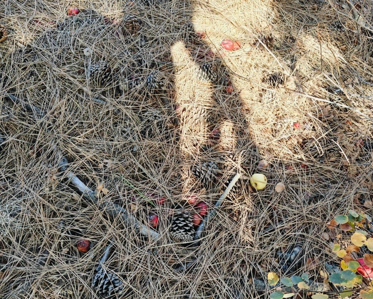 32-xx South Assembly Road Spokane, WA 99224 - Photo 15 of 25