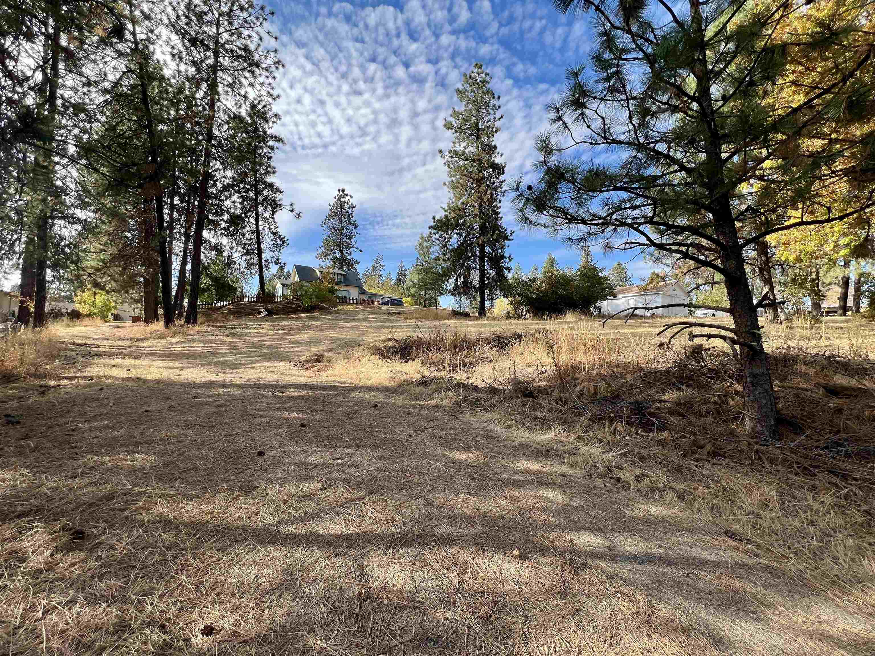 32-xx South Assembly Road Spokane, WA 99224 - Photo 5 of 25