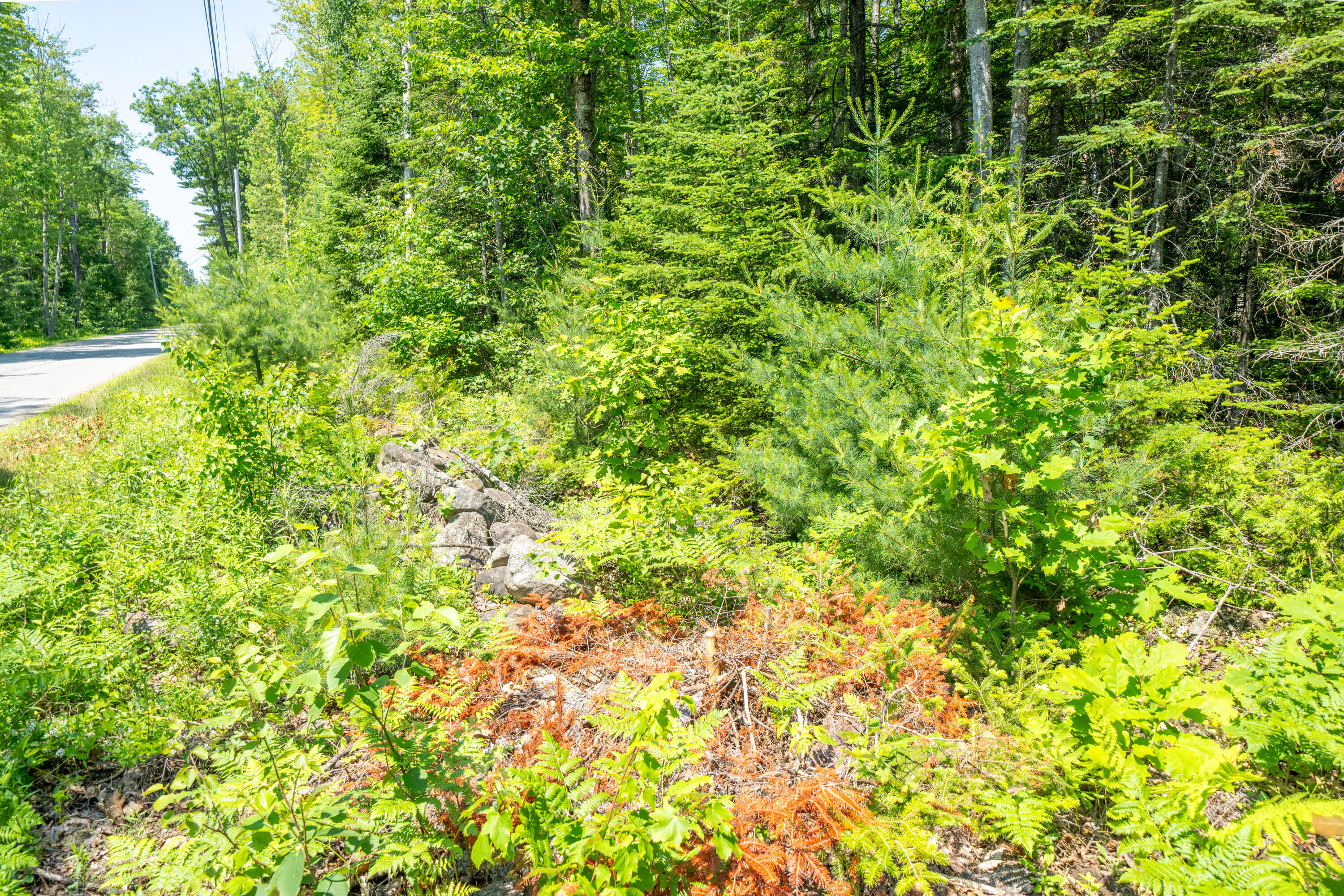 77 Pound Hill Road Northport, ME 04849 - Photo 18 of 20 3724