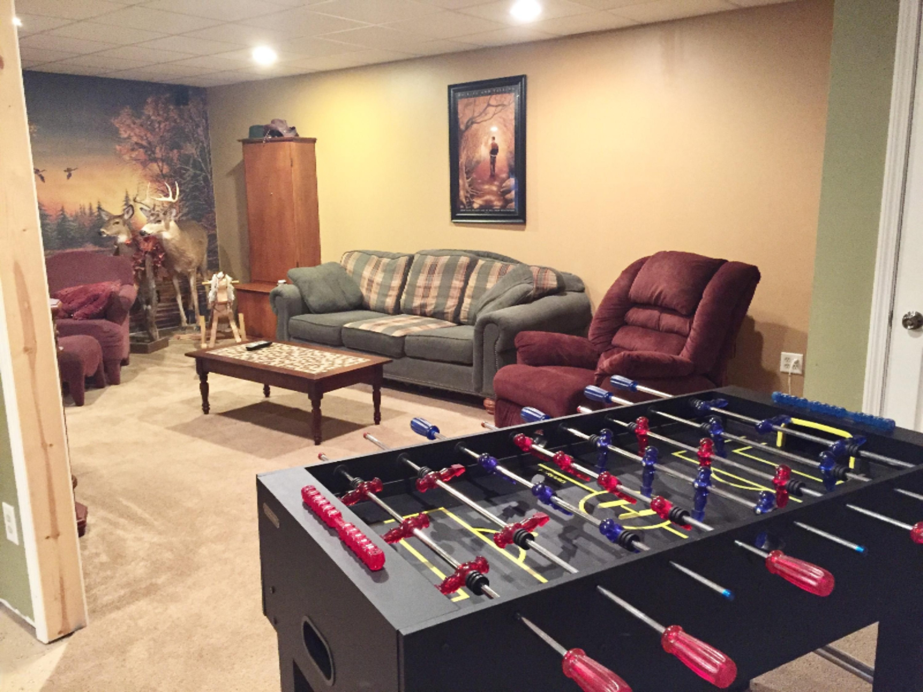 51594 Burlington Road Marcellus, MI 49067 - Photo 34 of 38 FullSizeRender-14