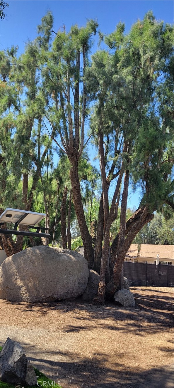 31125 Murrieta Road Menifee, CA 92584 - Photo 11 of 13 a view of yard with tree