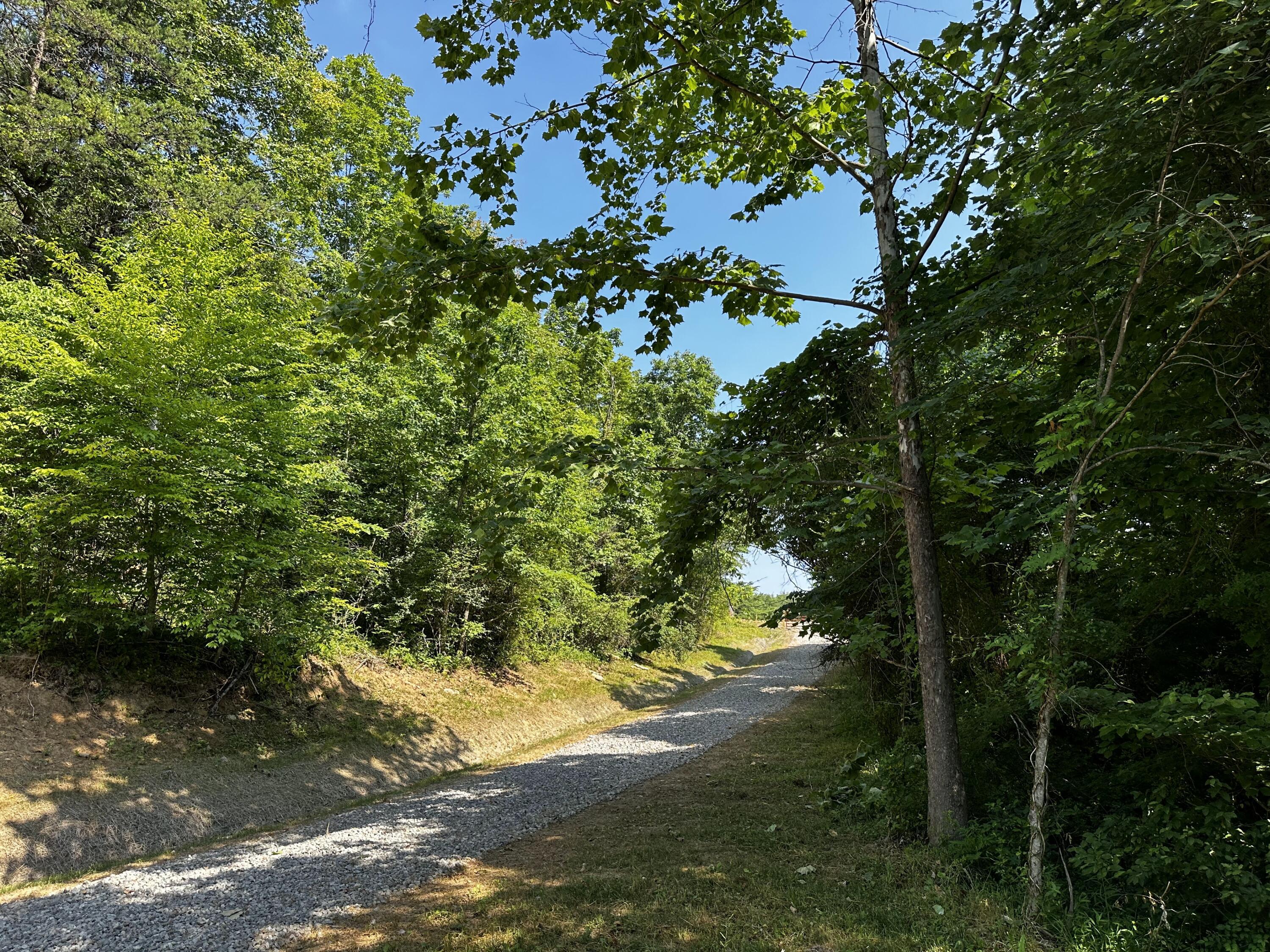1101 Hull Road, Unit TRACT 9 WOODS WAYNE FOREST) Patriot, OH 45658 - Photo 14 of 61 20240621_144237765_iOS