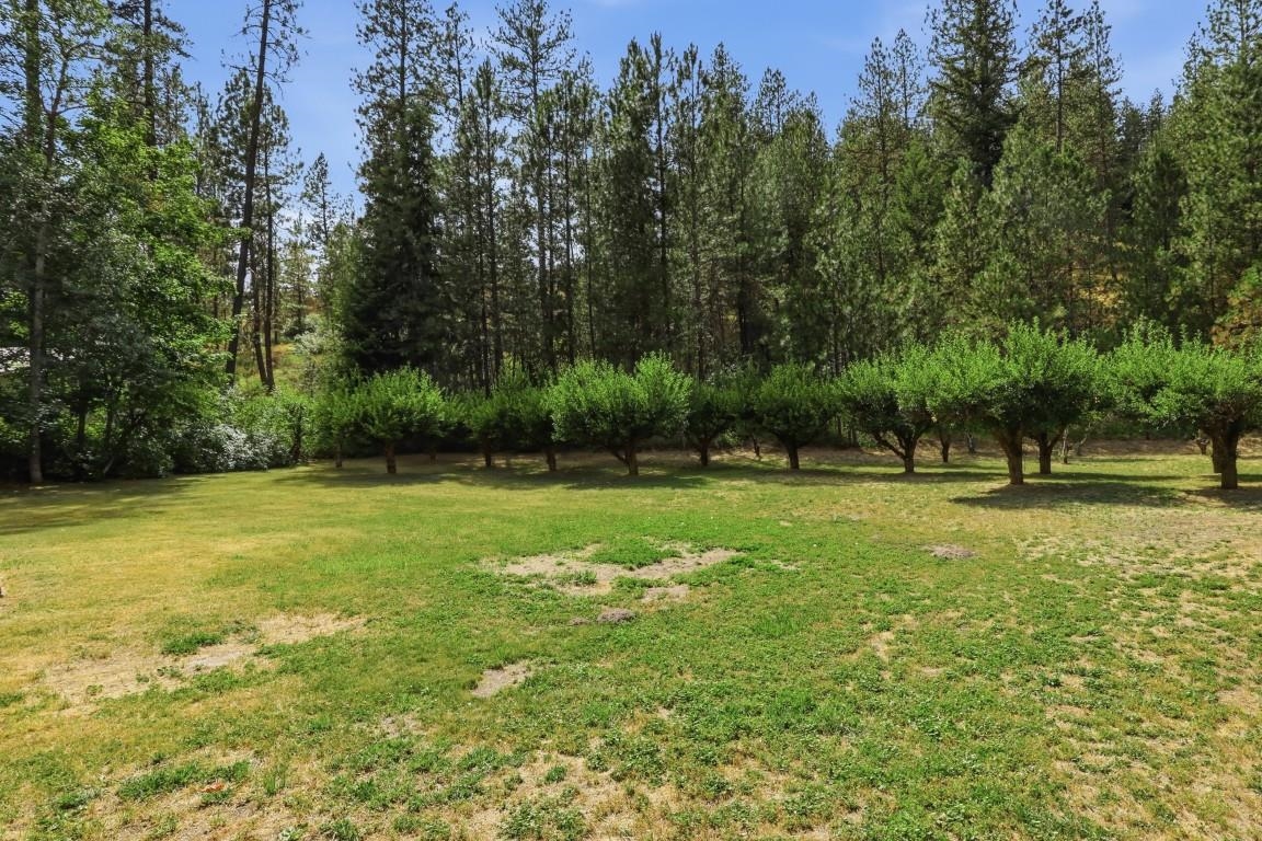 14424 Cheney Spokane Road Cheney, WA 99004 - Photo 37 of 50