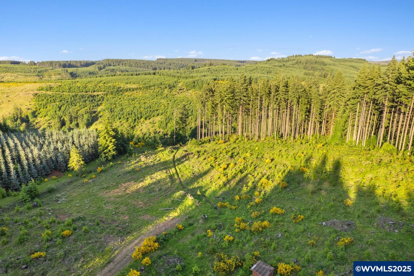 20181 Bridge Creek Road Southeast Silverton, OR 97381 - Photo 7 of 11 Gallery Image 7