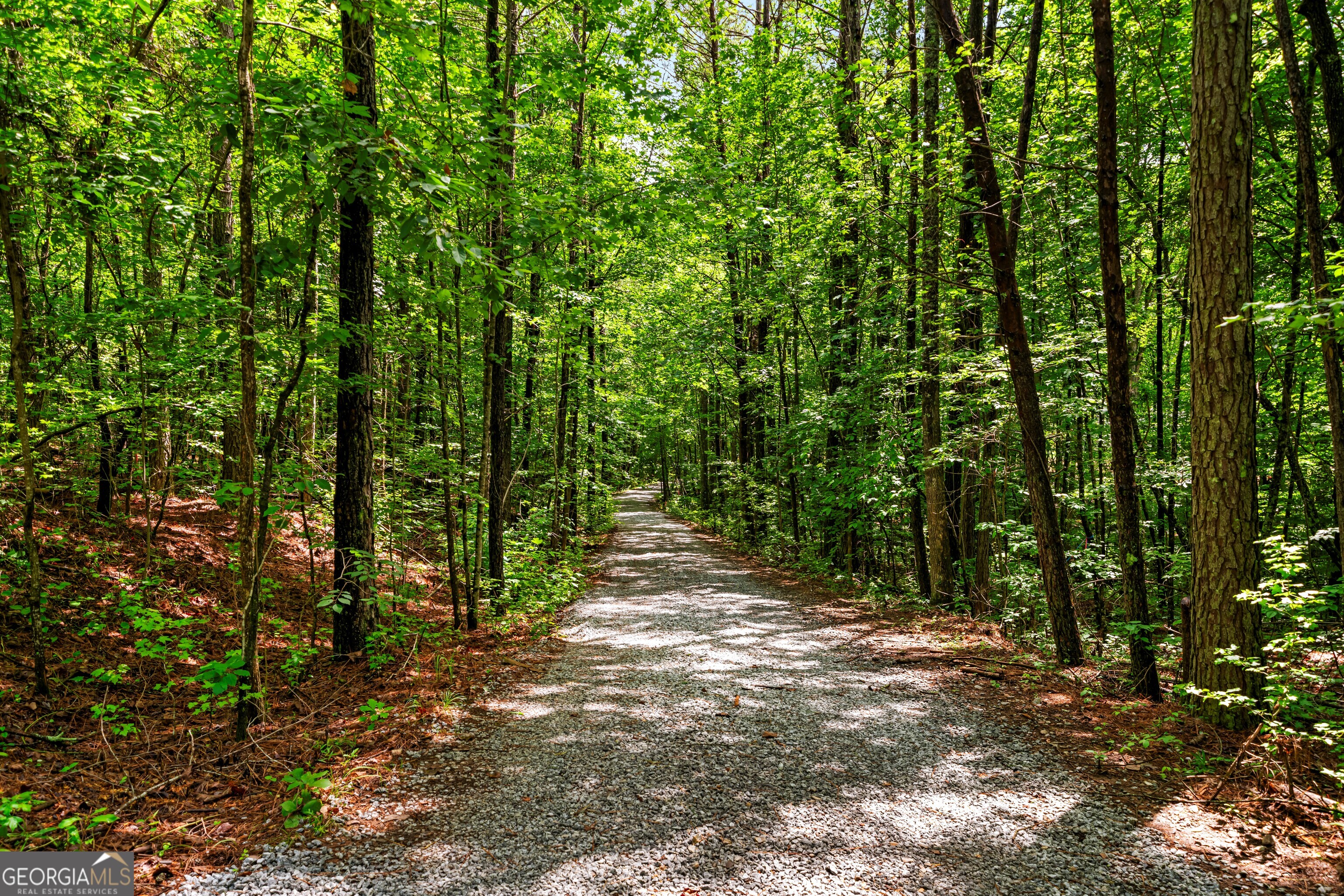 1933 Highway 101 Dallas, GA 30157 - Photo 32 of 40 Tree lined driveway with fresh gravel