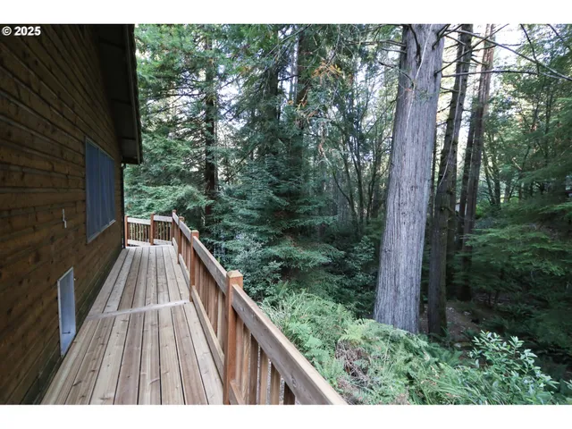 a view of a forest with trees