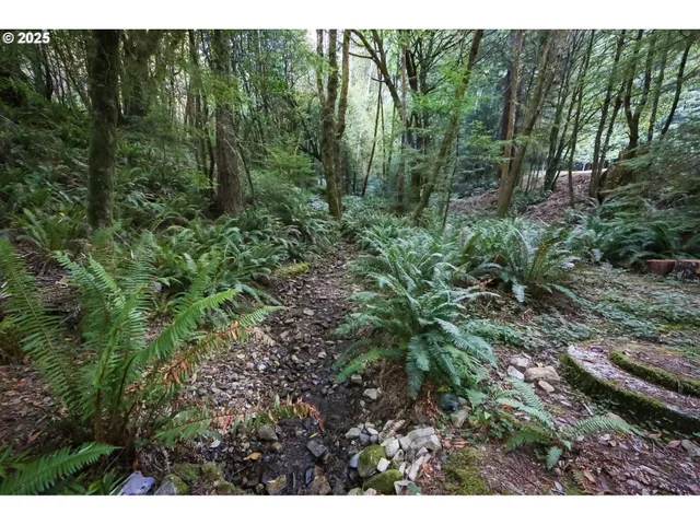 a view of outdoor space and green space