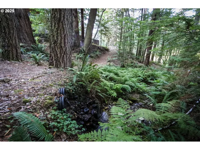 a view of backyard with green space