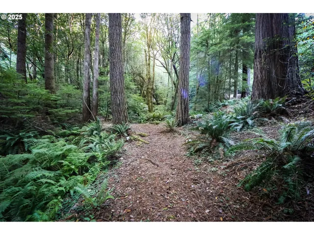 a view of outdoor space and yard