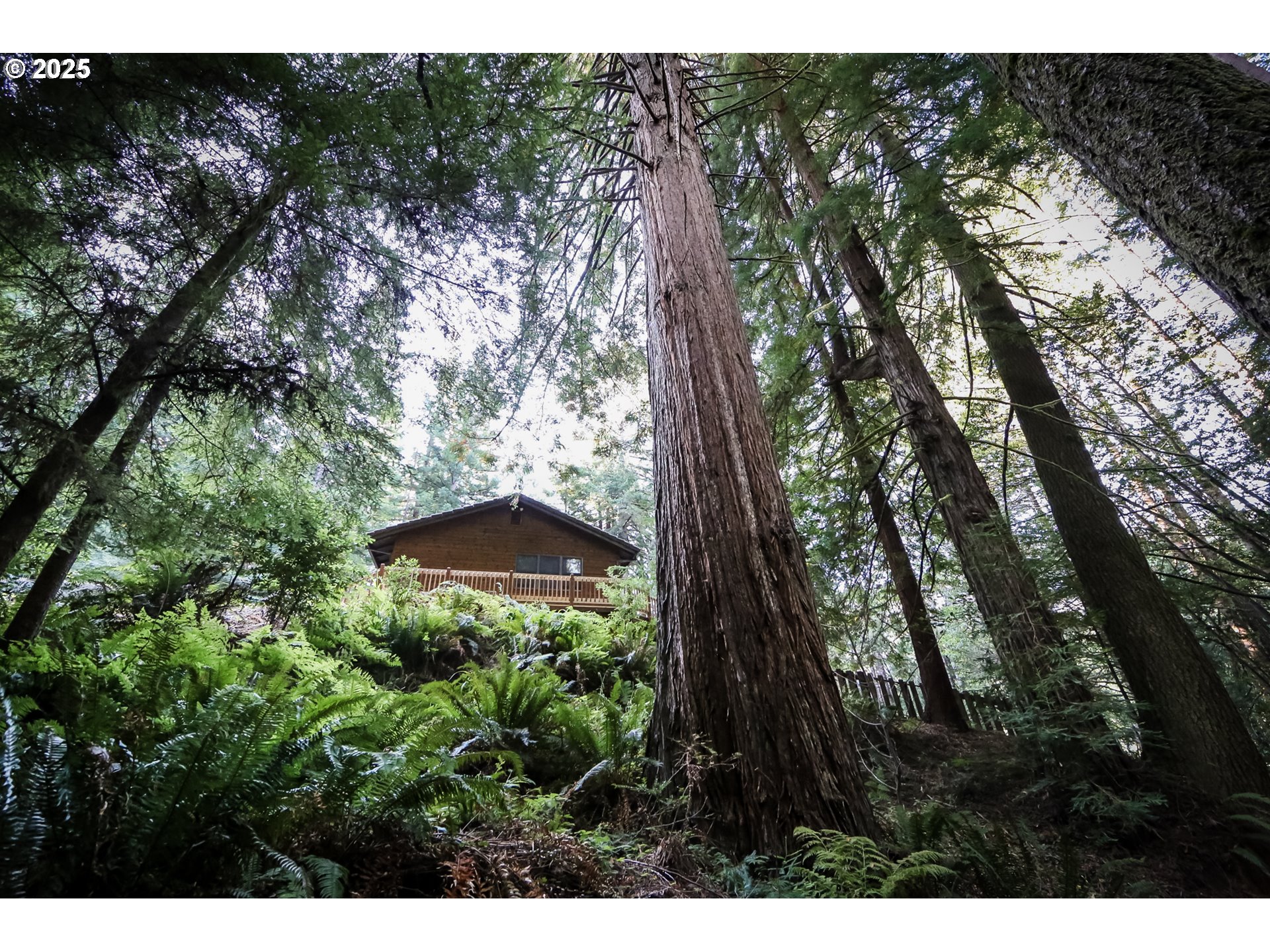 1107 Winchuck River Road Brookings, OR 97415 - Photo 25 of 30 View