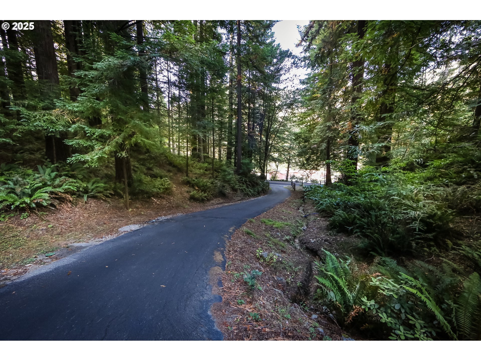 1107 Winchuck River Road Brookings, OR 97415 - Photo 29 of 30 Driveway