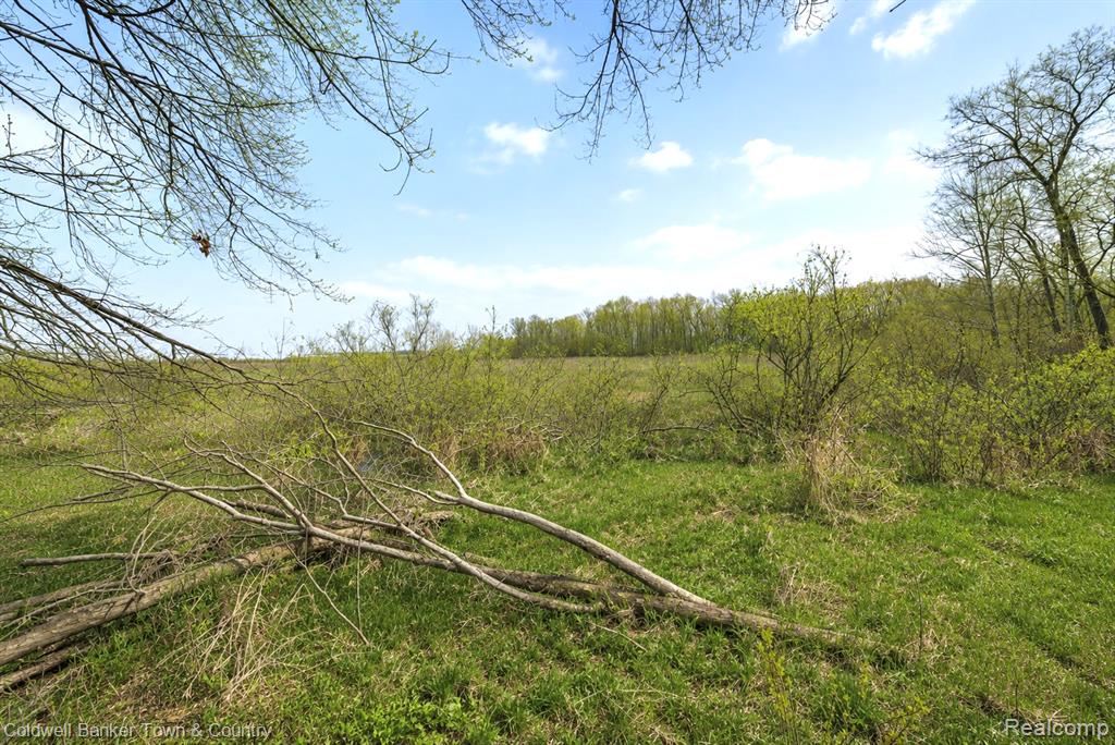 Vl Spears Road Gregory, MI 48137 - Photo 3 of 25