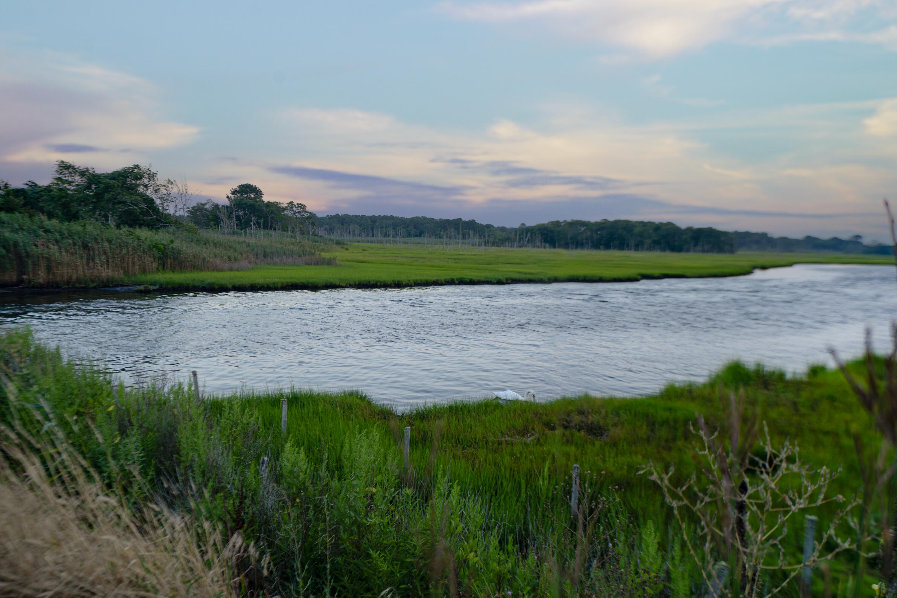 171 Searsville Road South Dennis, MA 02660 - Photo 98 of 100 Swan Pond