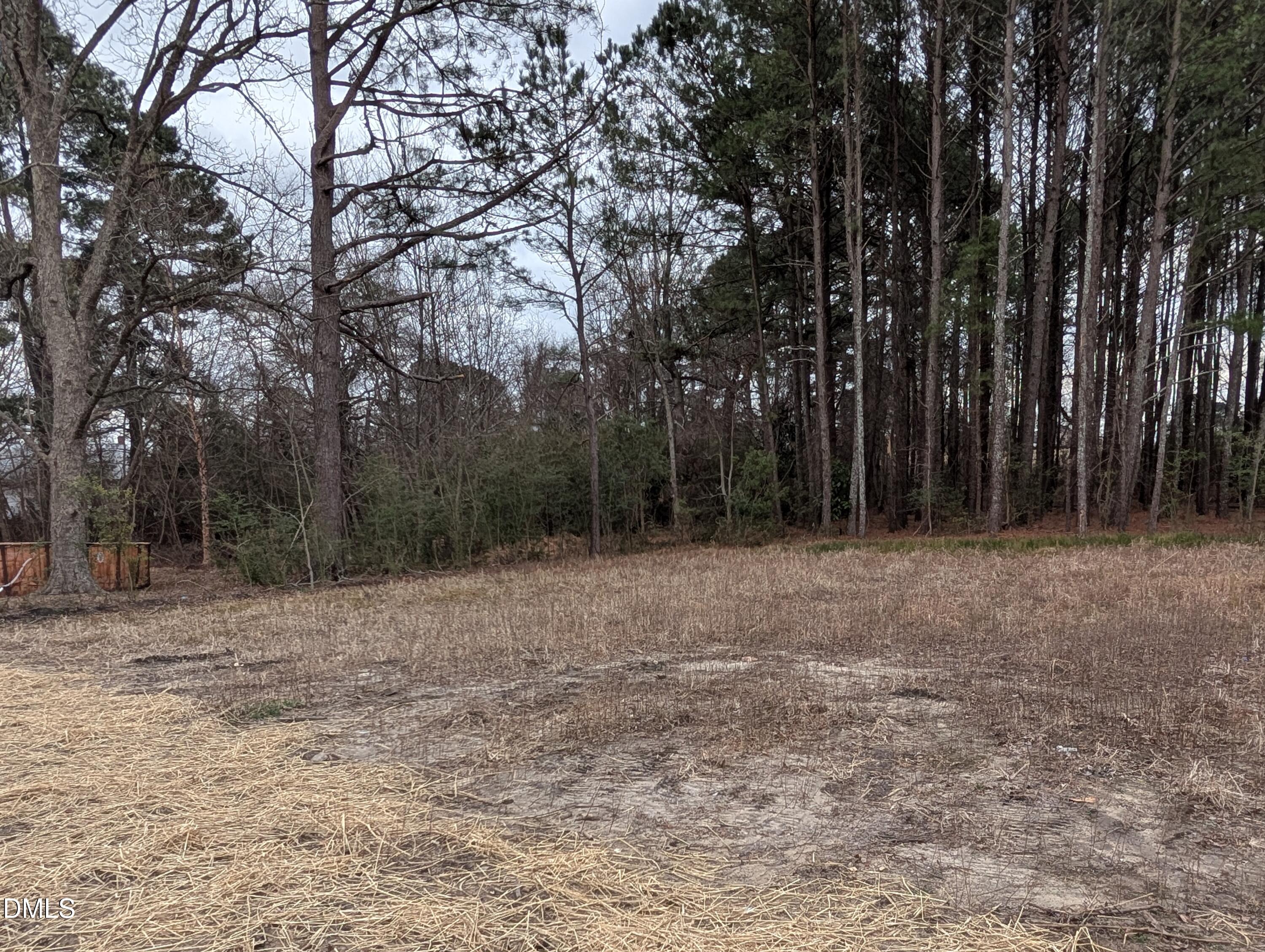 749 West Church Street Angier, NC 27501 - Photo 25 of 37 a view of outdoor space with trees