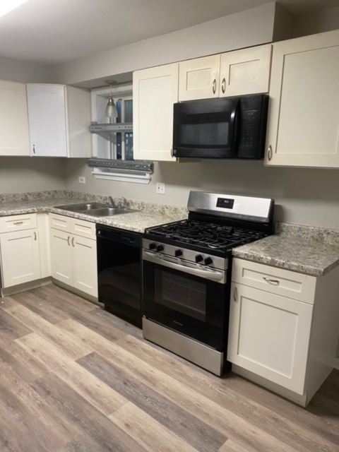 4263 West 81st Street Chicago, IL 60652 - Photo 3 of 17