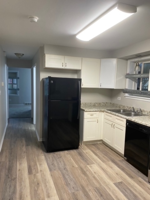 4263 West 81st Street Chicago, IL 60652 - Photo 4 of 17