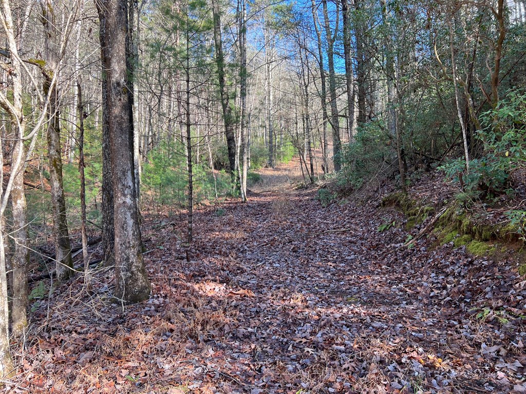 7.72-ac Stanley Creek Road Cherry Log, GA 30522 - Photo 11 of 20