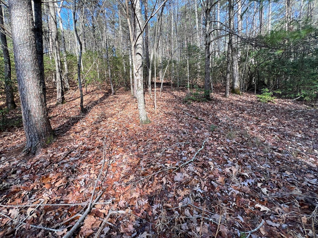 7.72-ac Stanley Creek Road Cherry Log, GA 30522 - Photo 12 of 20