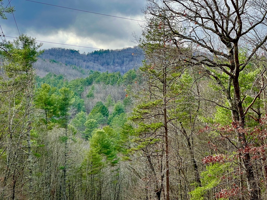 7.72-ac Stanley Creek Road Cherry Log, GA 30522 - Photo 14 of 20